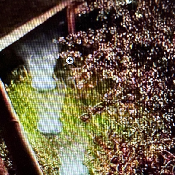 8 COLORFUL SOLAR LIGHTS - BRAND NEW - Picture 9 of 11